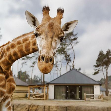 Safari Resort Beekse Bergen Hilvarenbeek Eksteriør bilde