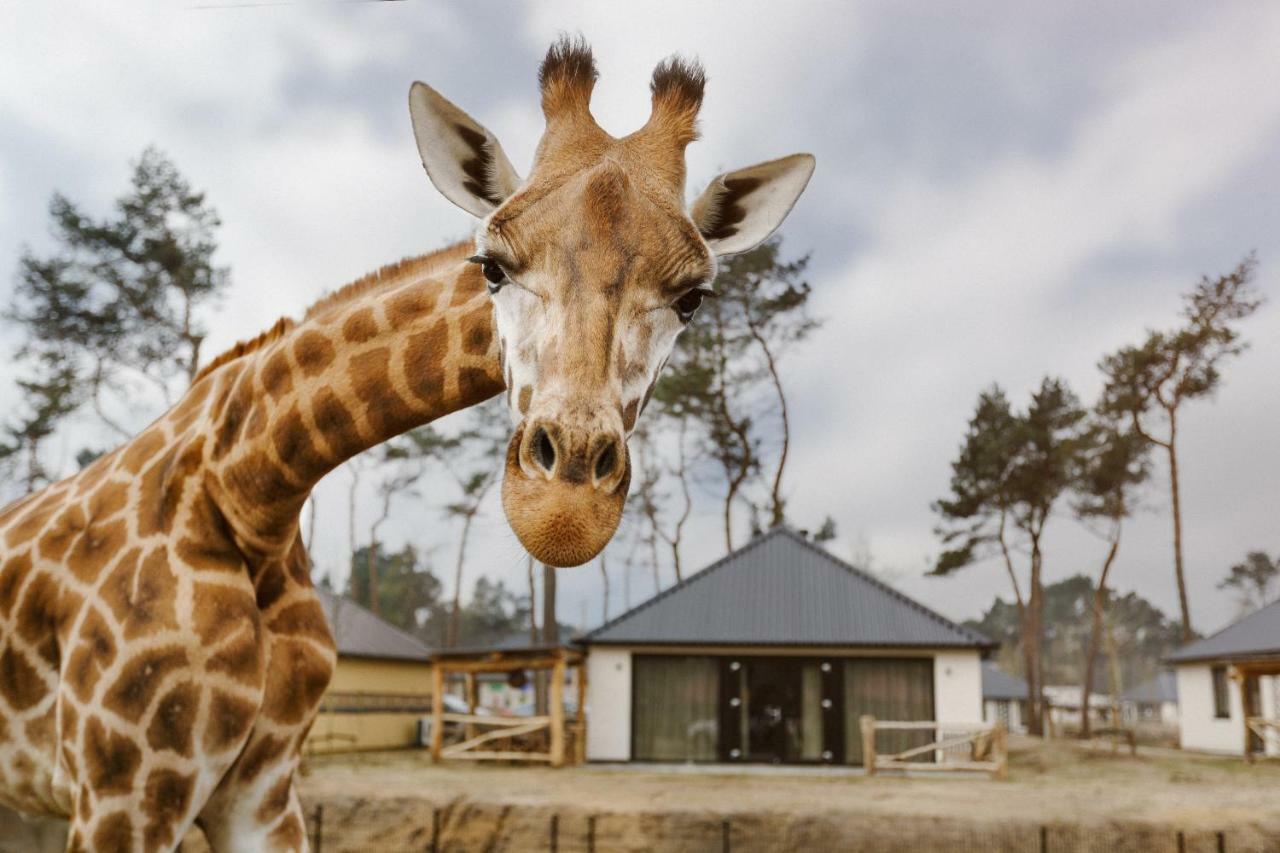 Safari Resort Beekse Bergen Hilvarenbeek Eksteriør bilde