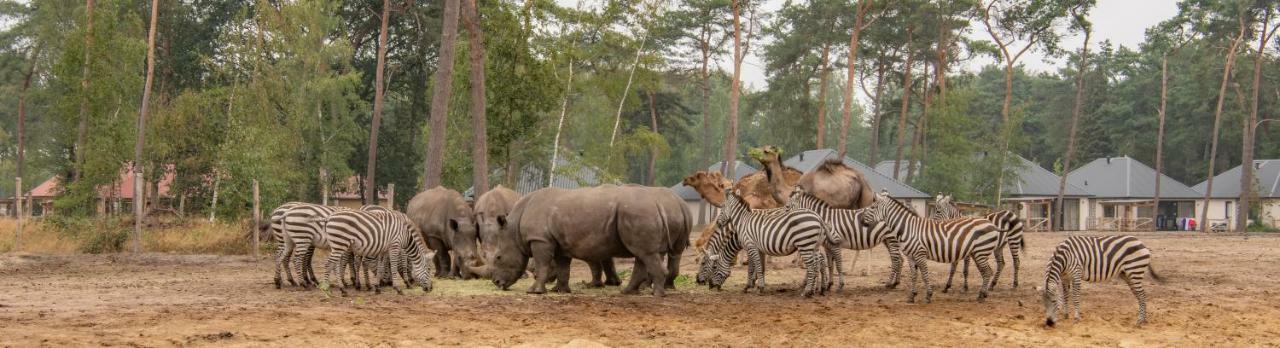 Safari Resort Beekse Bergen Hilvarenbeek Eksteriør bilde
