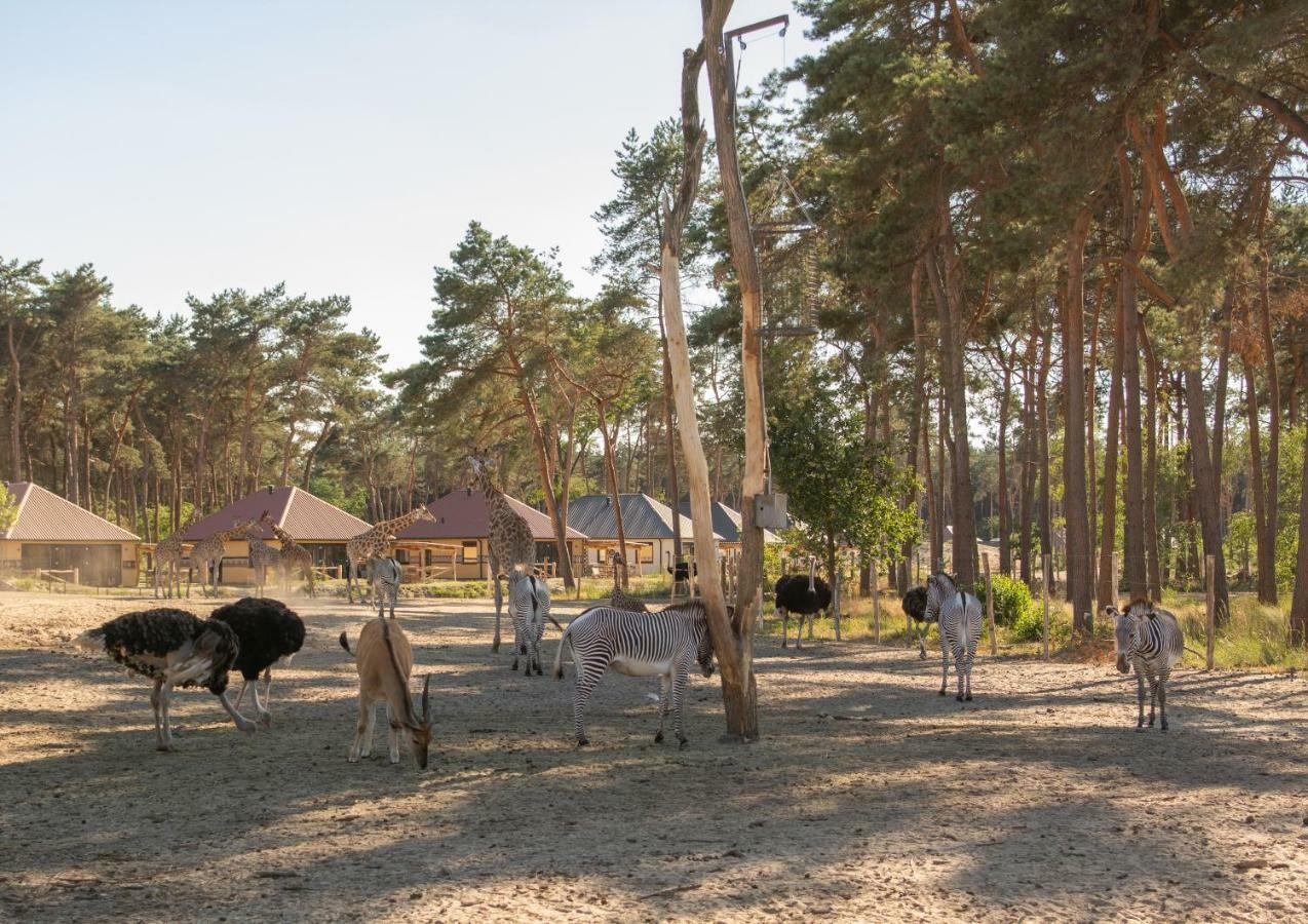 Safari Resort Beekse Bergen Hilvarenbeek Eksteriør bilde