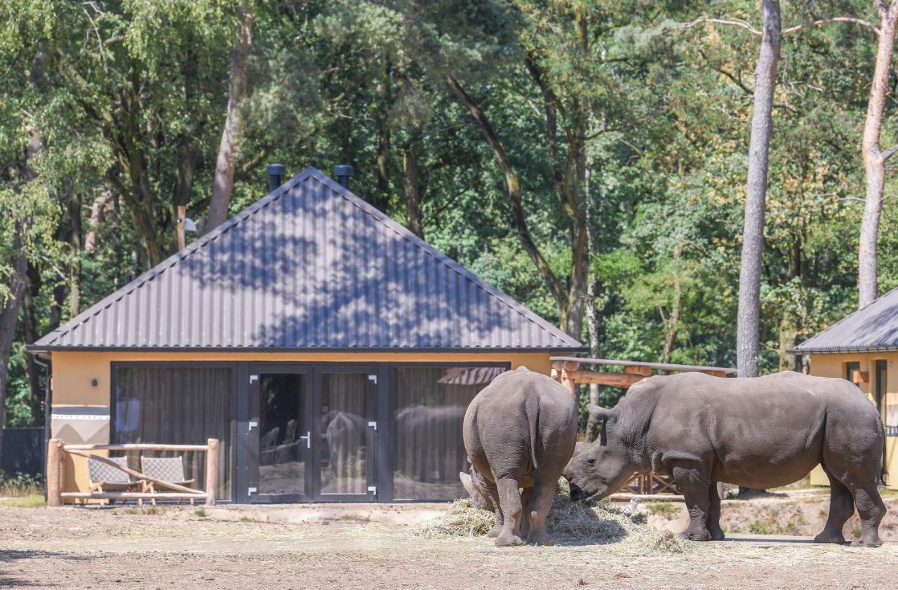 Safari Resort Beekse Bergen Hilvarenbeek Eksteriør bilde