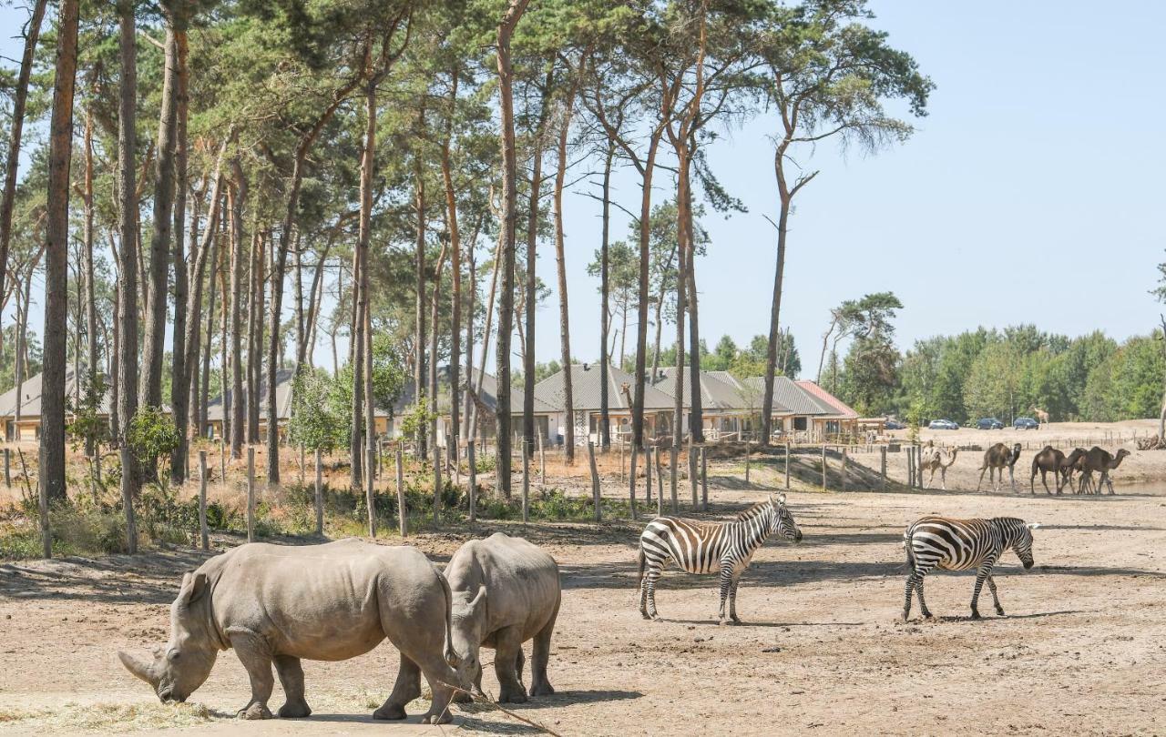 Safari Resort Beekse Bergen Hilvarenbeek Eksteriør bilde